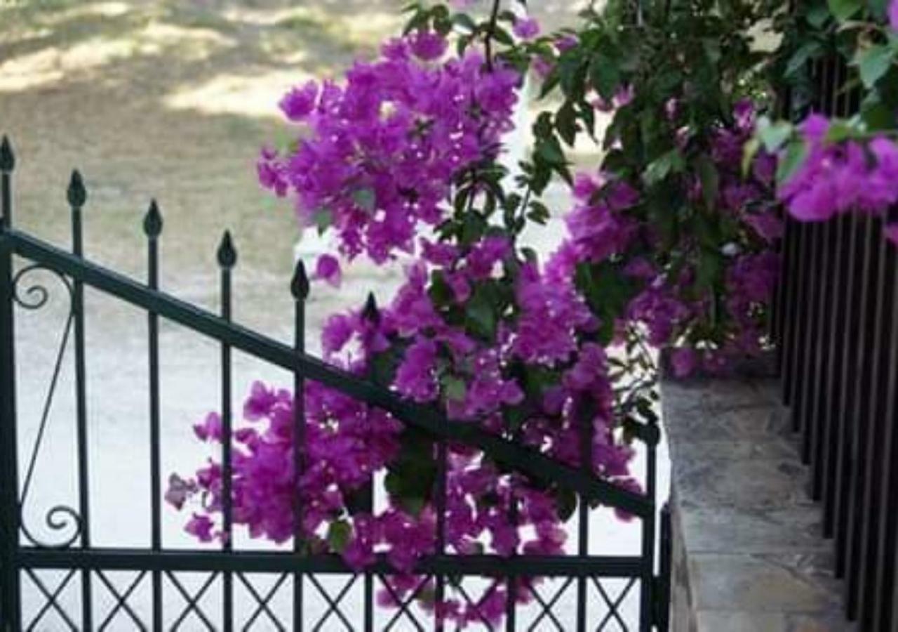 Vokamvilia & Close To The Sea Holiday home *
